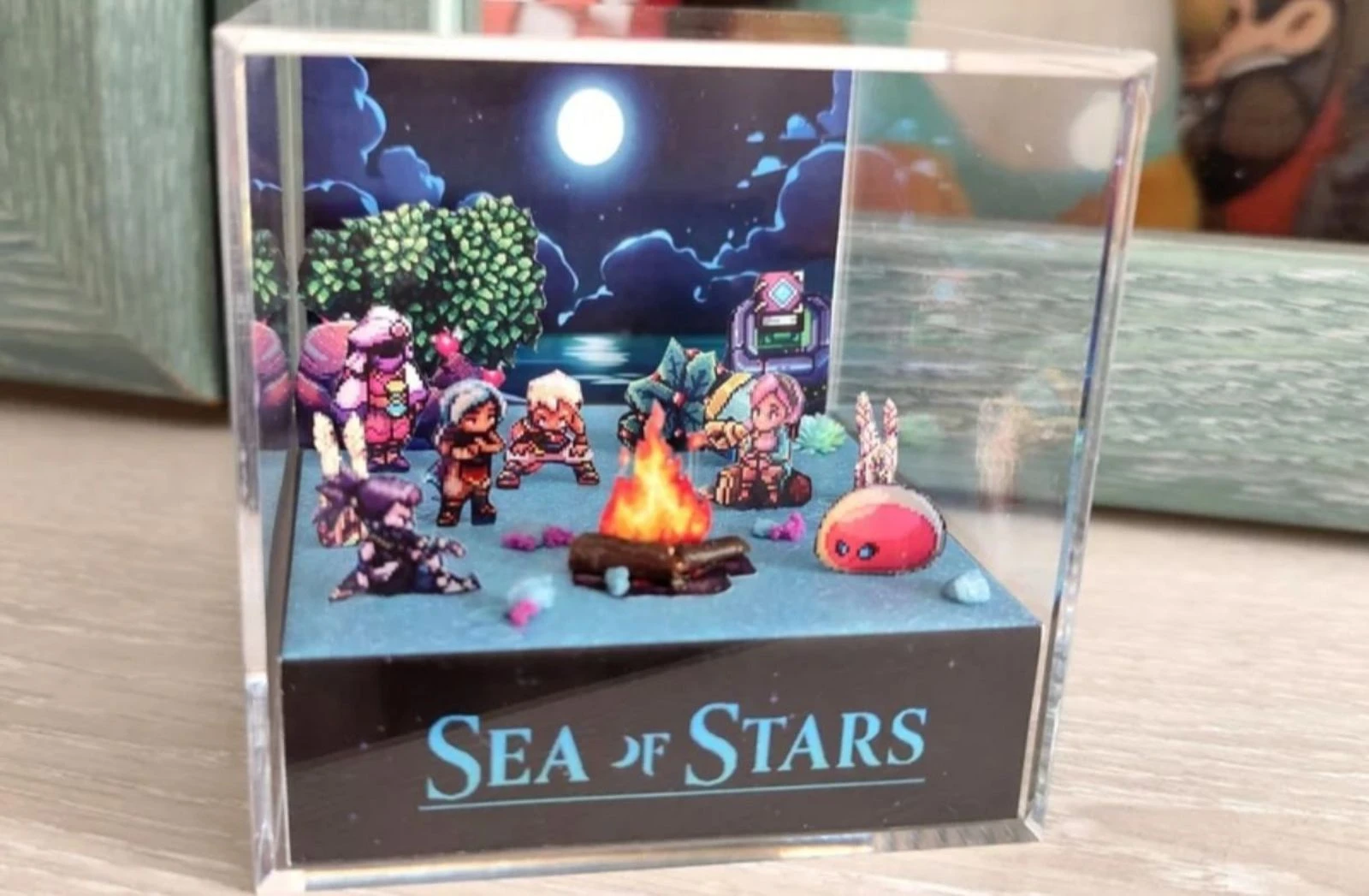 Diorama Mar de Estrelas – photo 3
